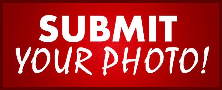 submit your photo